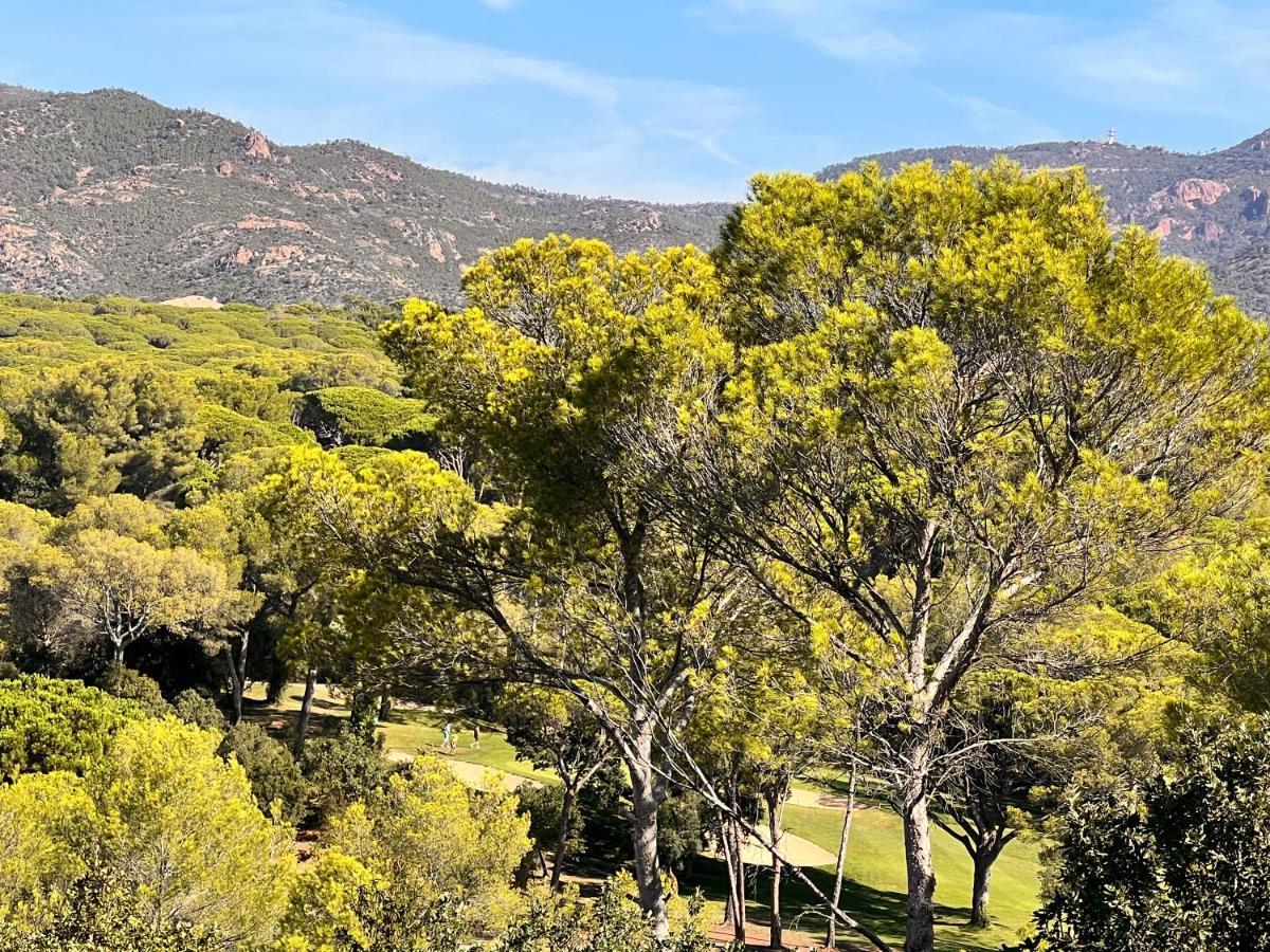 Villa Familiale Avec Vue Imprenable Saint-Raphaël 外观 照片